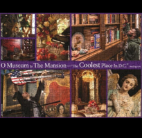 Mansion Puzzle Magnetic